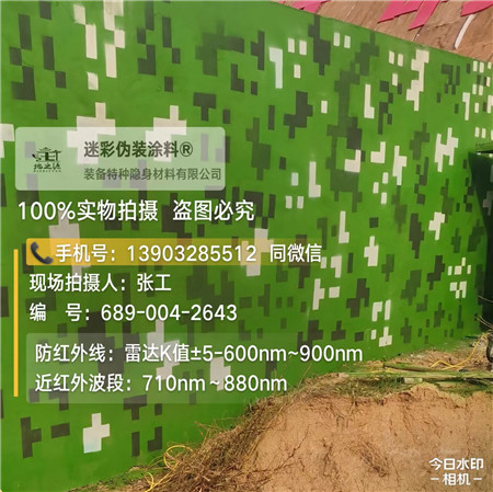 呼和浩特星空迷彩漆，夏令营训练,数码迷彩作训墙,围墙